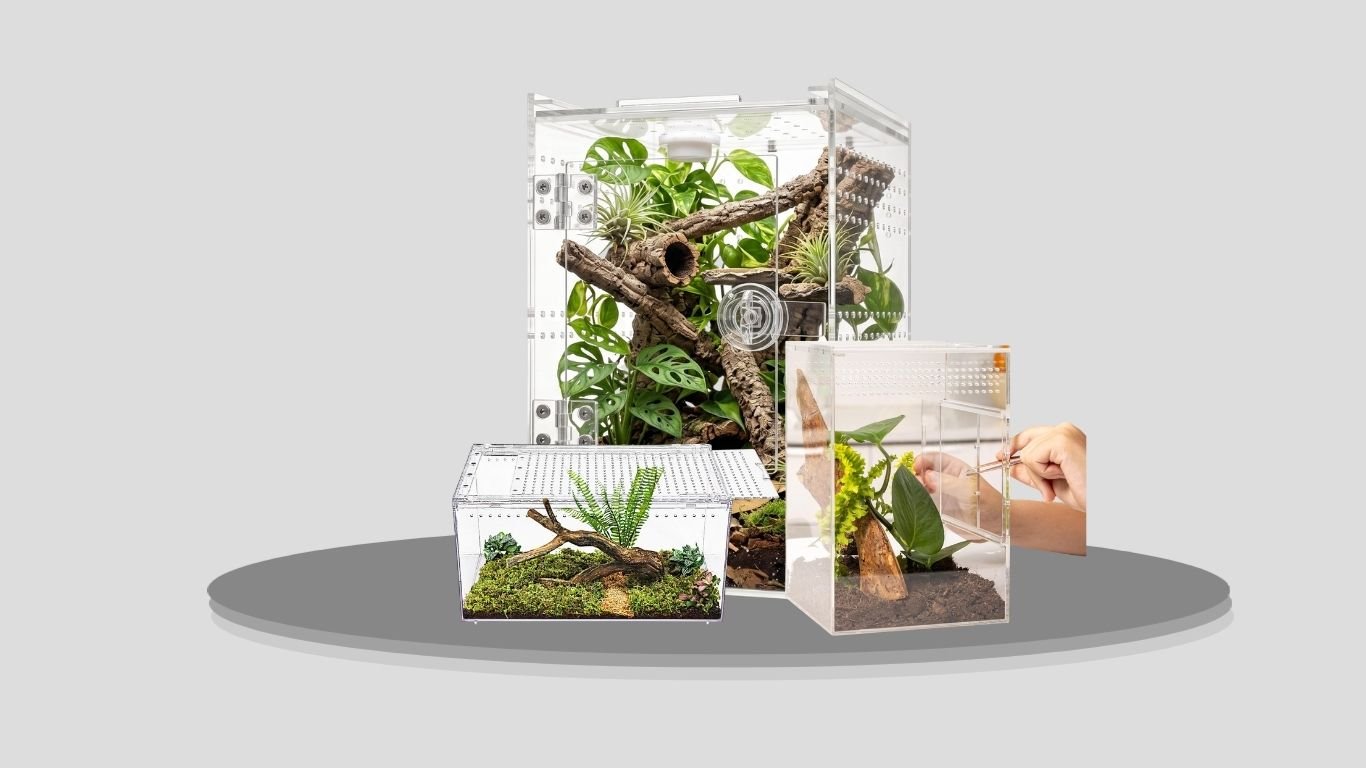10 Best Tarantula Enclosures for Safe and Easy Care