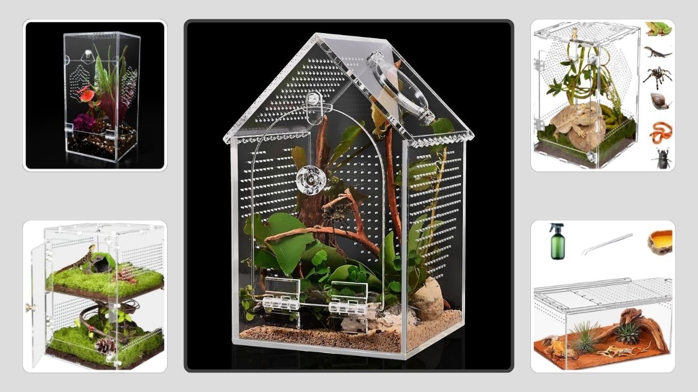 9 Best Acrylic Spider Enclosures for Safe Pet Housing