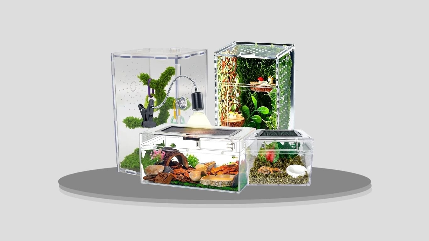 7 Best Spider Habitat Kits for Safe and Easy Setup