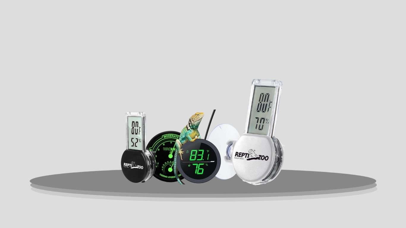 8 Best Terrarium Thermometers for Reptiles in 2026