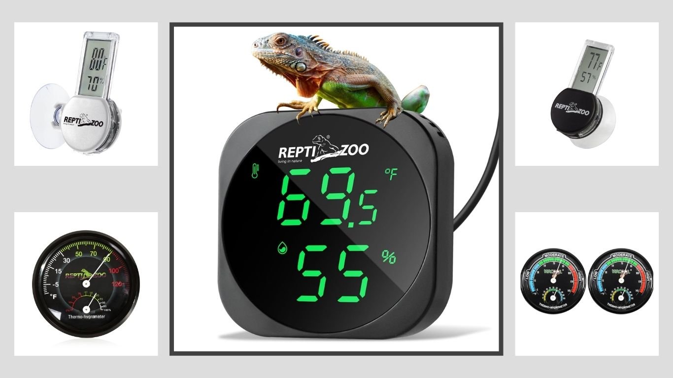 9 Best Terrarium Hygrometers for Reptiles and Amphibians