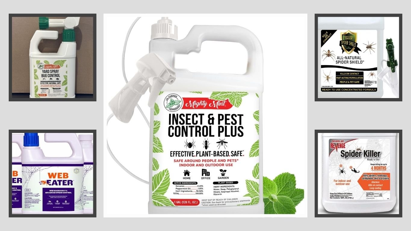 10 Best Outdoor Spider Repellents for Home and Yard