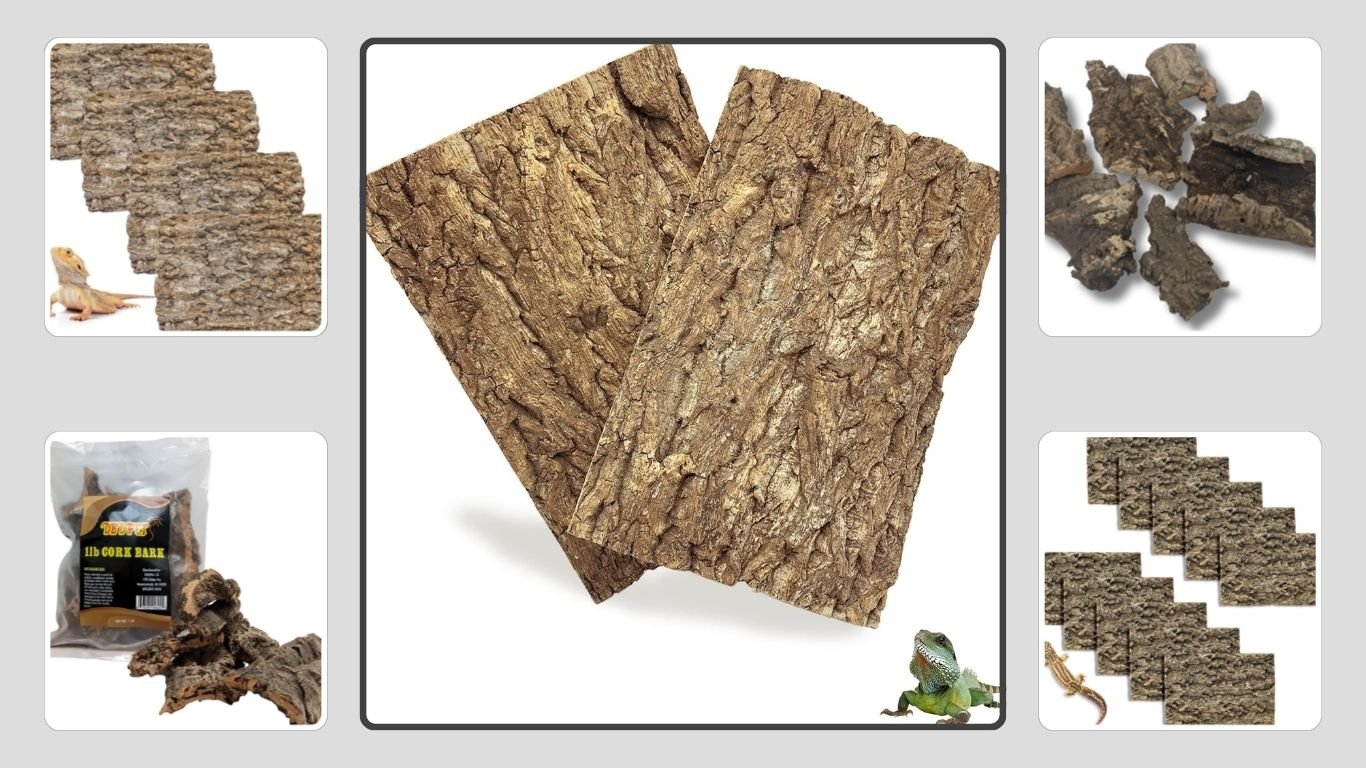 9 Best Cork Bark for Reptile and Spider Terrariums