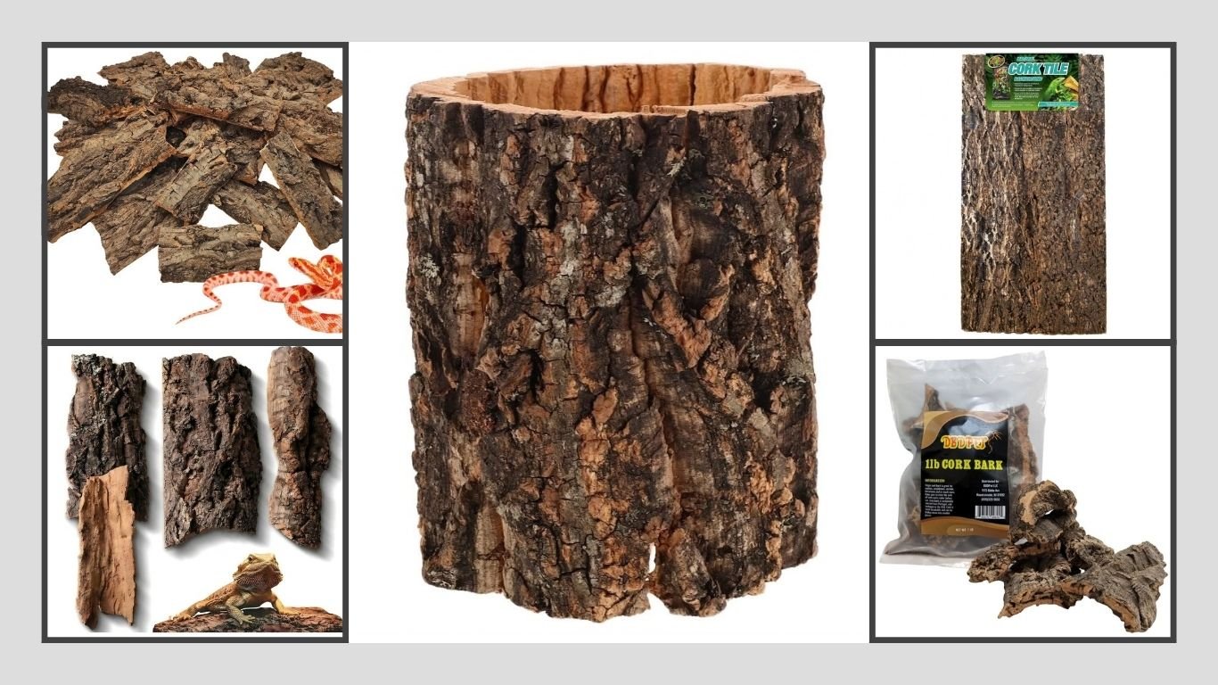 10 Best Reptile Cork Bark for Natural Terrarium Setups