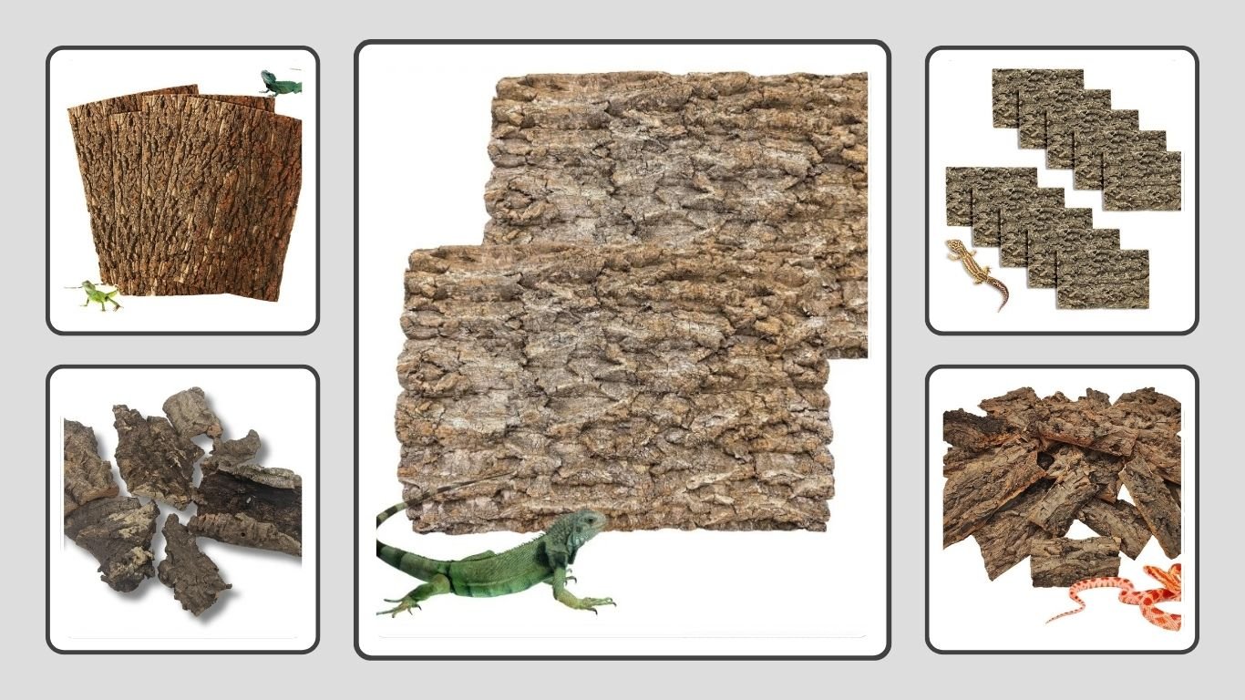 8 Best Cork Bark for Terrarium Bioactive Enclosures