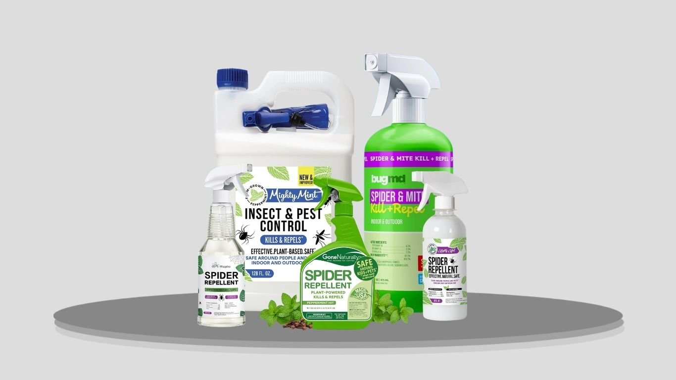 12 Best Natural Spider Repellents for Home and Outdoor Use