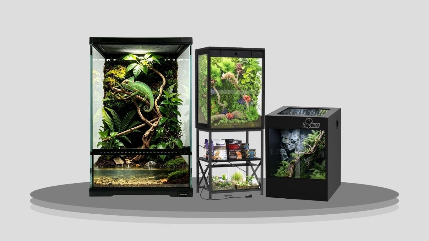 9 Best Arboreal Tarantula Enclosures for Vertical Habitats