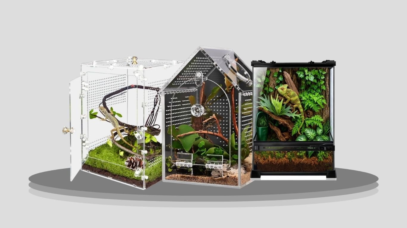 10 Best Terrestrial Tarantula Enclosures for Secure & Comfortable Housing