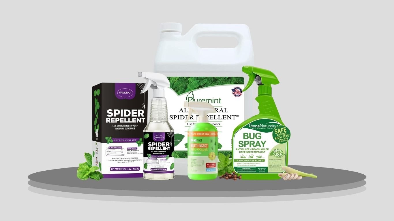 7 Best Insect Repellents for Spiders for Indoor & Outdoor Use
