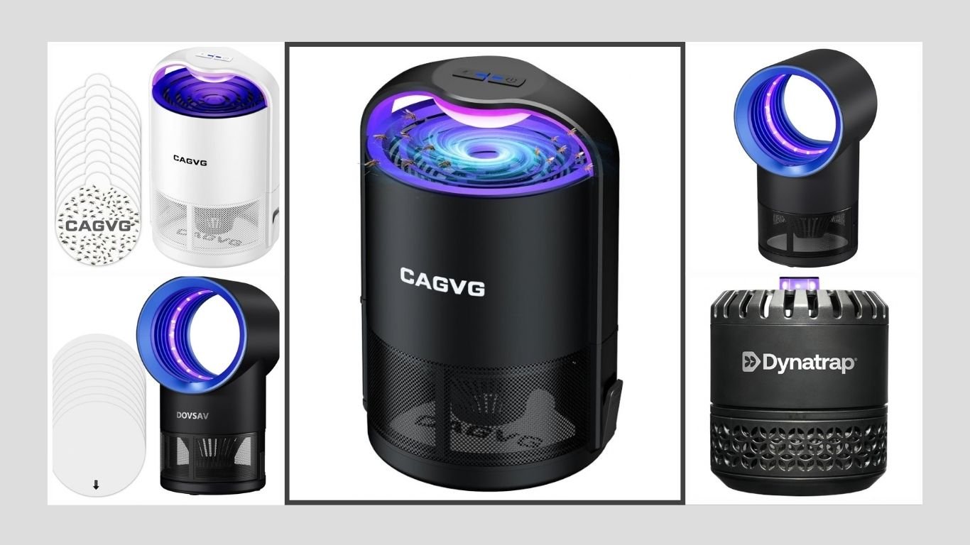 11 Best Flying Insect Traps for Indoor Use