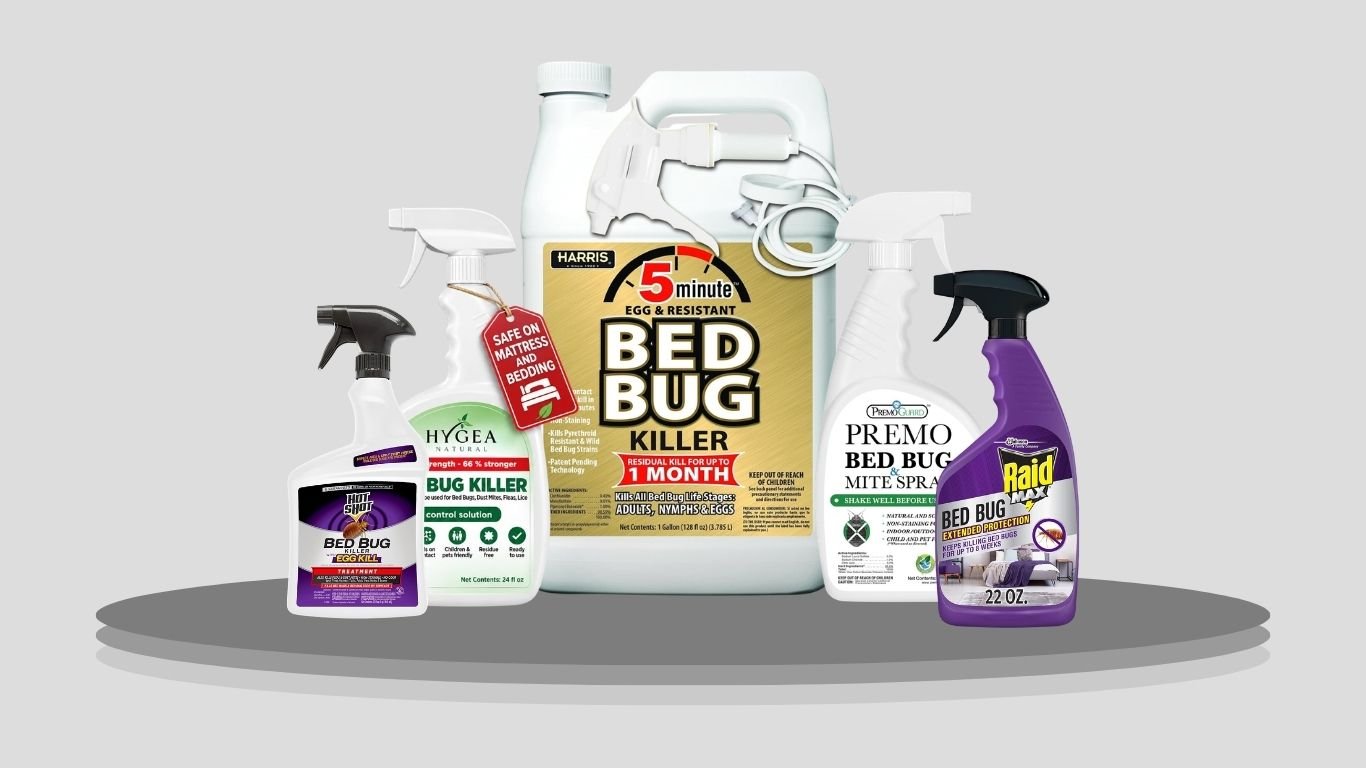 10 Best Bed Insect Killers for Fast and Effective Pest Control