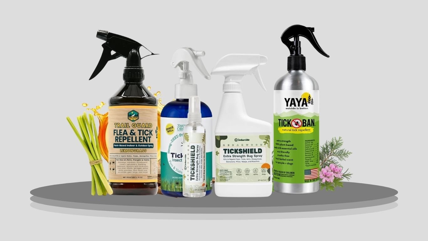 9 Best Tick Insect Sprays for Reliable Outdoor Protection