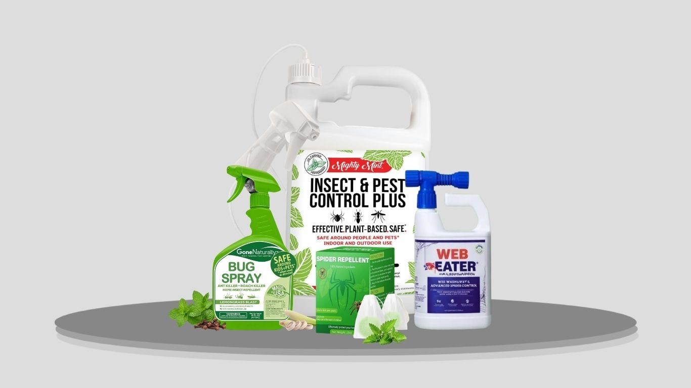 10 Best Peppermint Sprays for Spiders Indoors & Outdoors