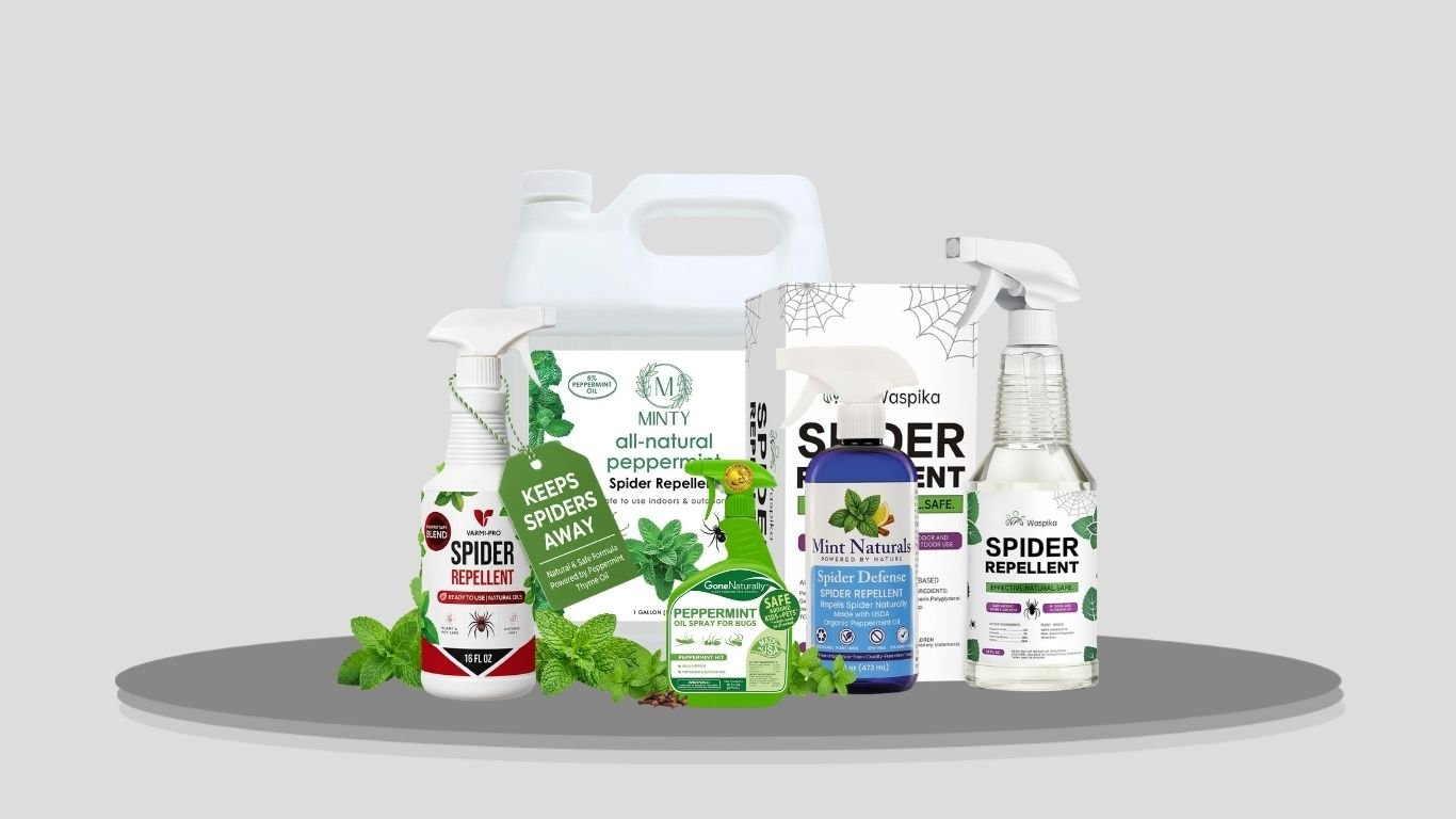 10 Best Peppermint Sprays for Spiders Indoors & Outdoors