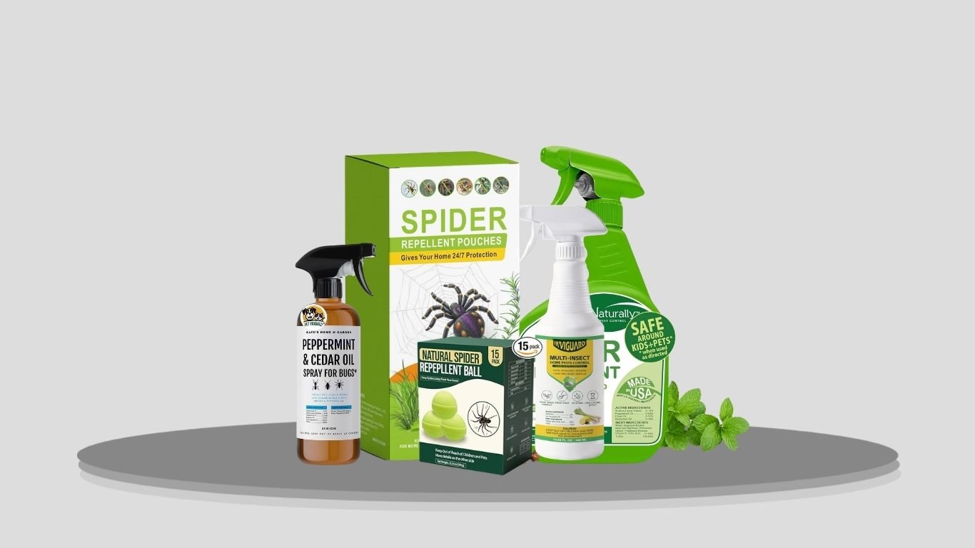 11 Best Spider Repellents for House Use Indoors & Outdoors