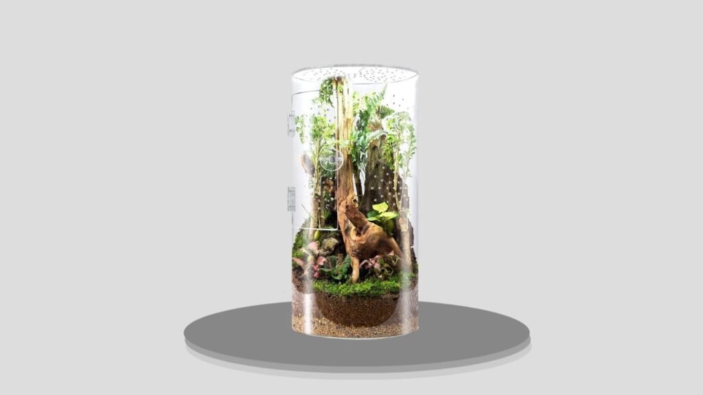 smartang Front-Opening Arboreal Tarantula Enclosure