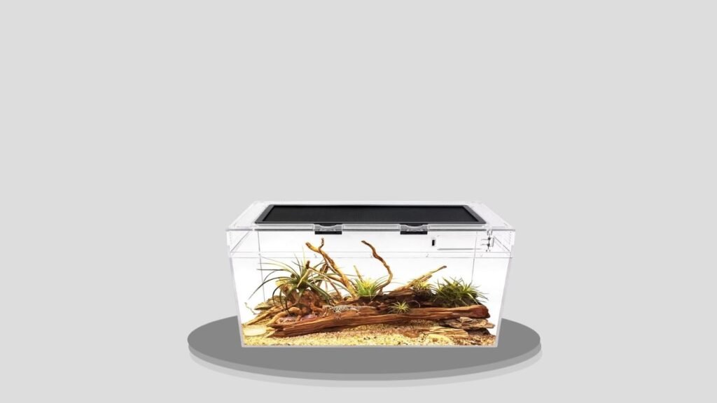 Reptile Growth 20 x 10 x 8 PC Terrarium