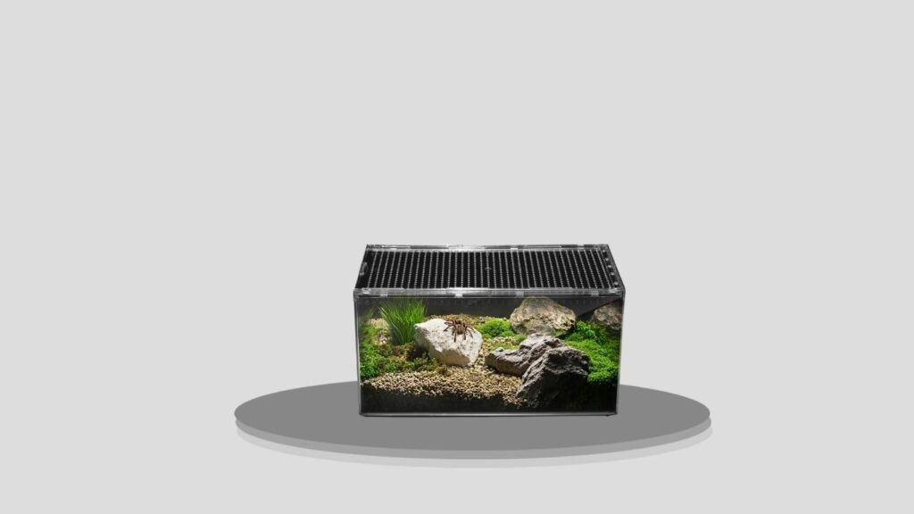 Terrarium Container Tarantula Enclosure Vivarium