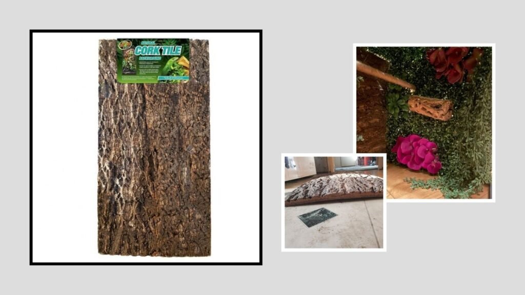 Zoo Med Cork Bark Background – Best for Vertical Terrariums
