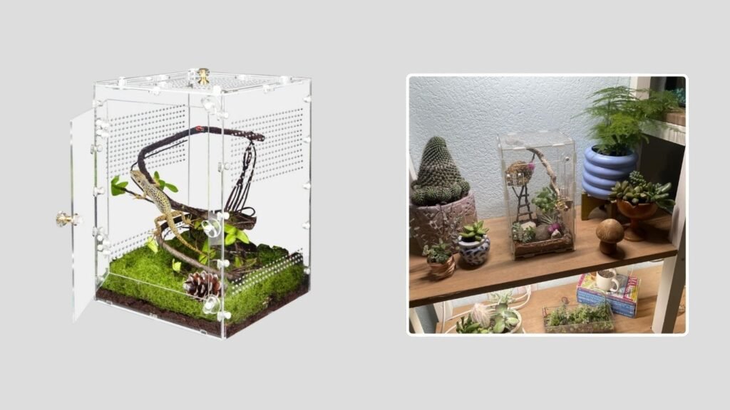 TCooSo 10-Gallon Acrylic Spider Enclosure