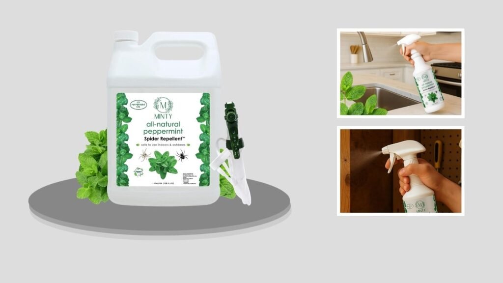 Minty Natural Peppermint Spider Repellent Spray
