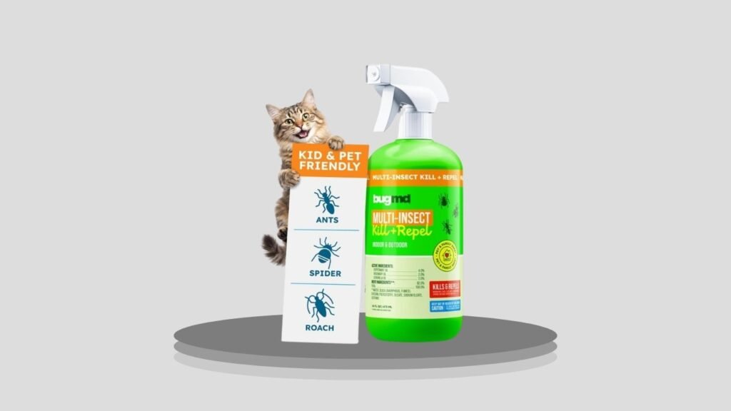 BugMD Peppermint Oil Spray for Bugs, Spiders & Ants