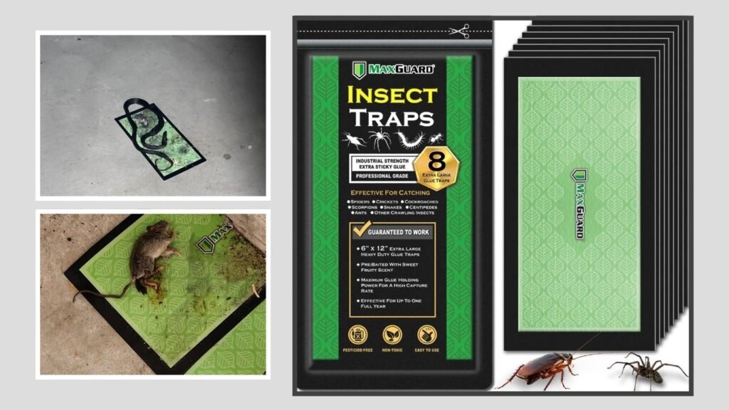 MaxGuard Extra-Large Pre-Baited Insect Traps