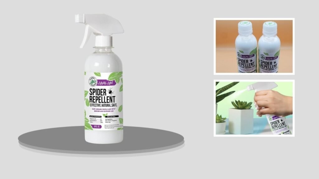 Mighty Mint Peppermint Spider Repellent