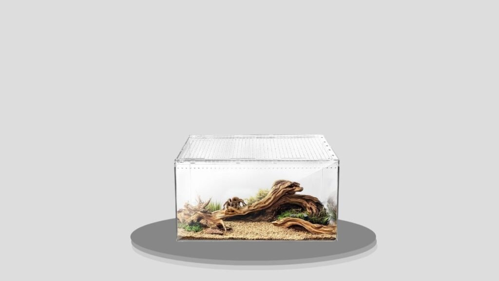 AZV Escape-Proof Polycarbonate Tarantula Terrarium