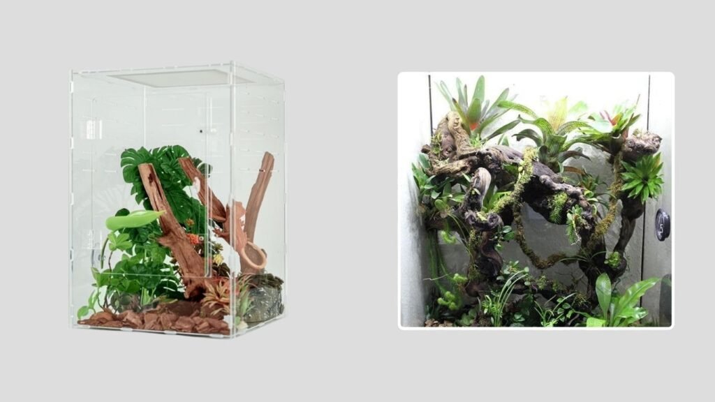 maiyuolg 12×12×18 Reptile and Tarantula Enclosure