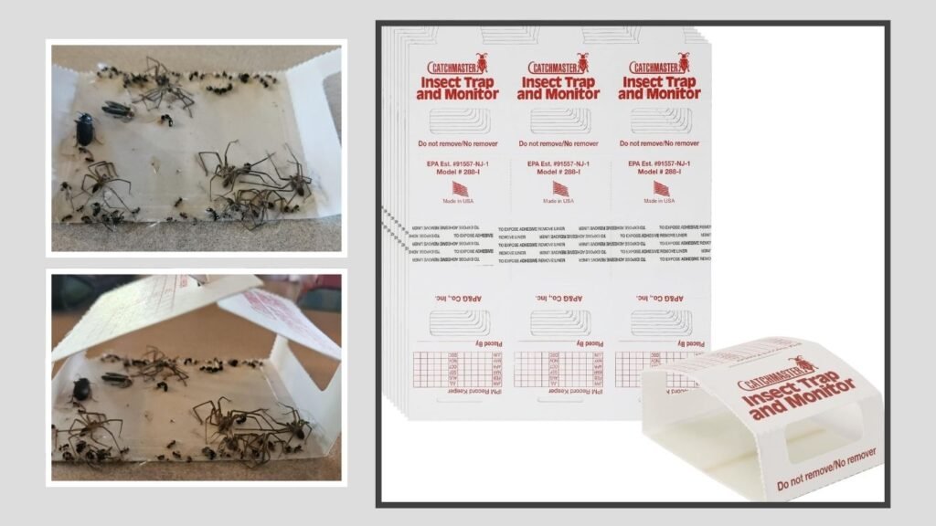 Catchmaster Spider & Insect Glue Traps