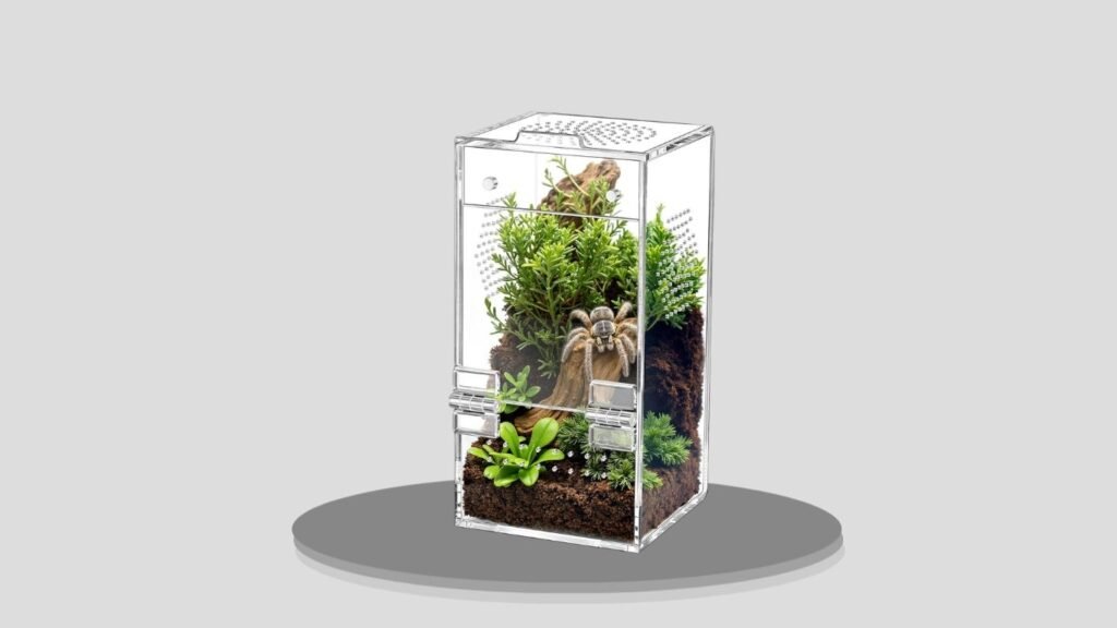 CourtyardAid Pre-Assembled Jumping Spider Enclosure