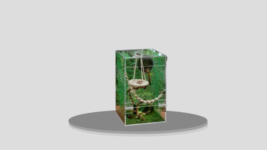  AZV Tarantula Transparent Terrarium Starter Kit