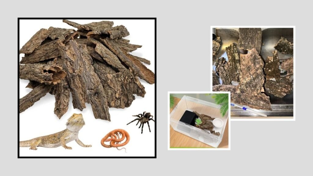 Apatal Reptile Cork Bark Bulk – Best for Natural Terrarium Setup