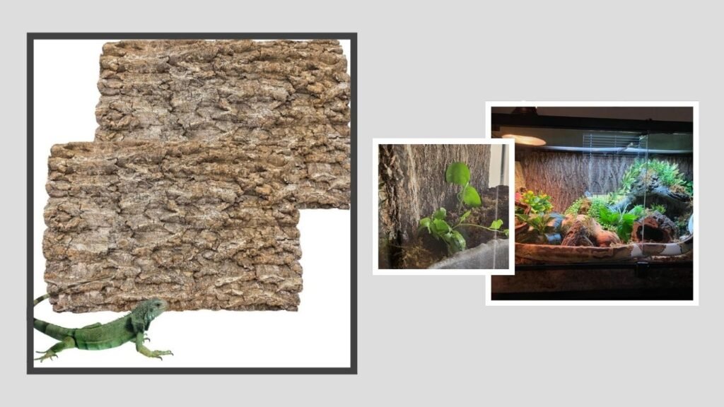 Reptile Climbing Cork Bark Terrarium Decoration – Best for Vertical Enrichment