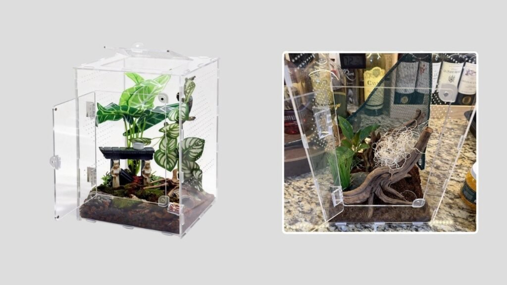 MaryCarrie Transparent Tarantula Enclosure