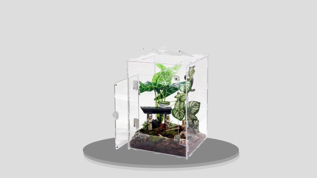 MaryCarrie Large Jumping Spider Enclosure