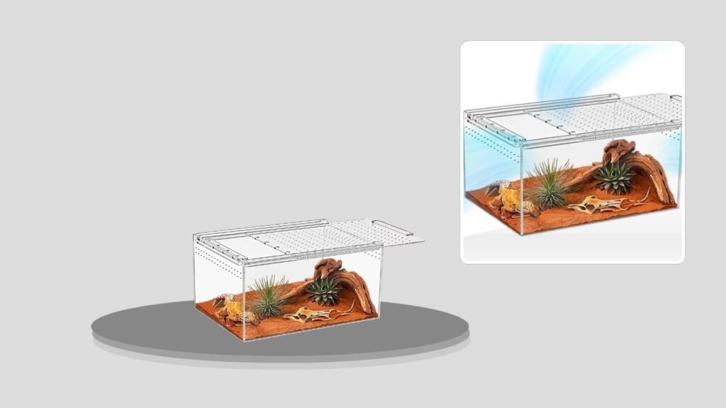 Clear Acrylic Spider Enclosure Terrarium