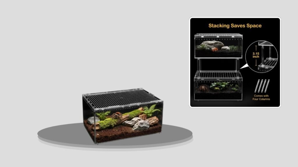 Clioran Tarantula & Spider Terrarium Starter Kit
