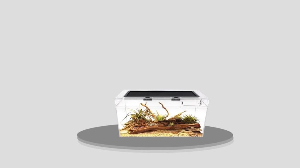 Reptile Growth PC Terrarium Set