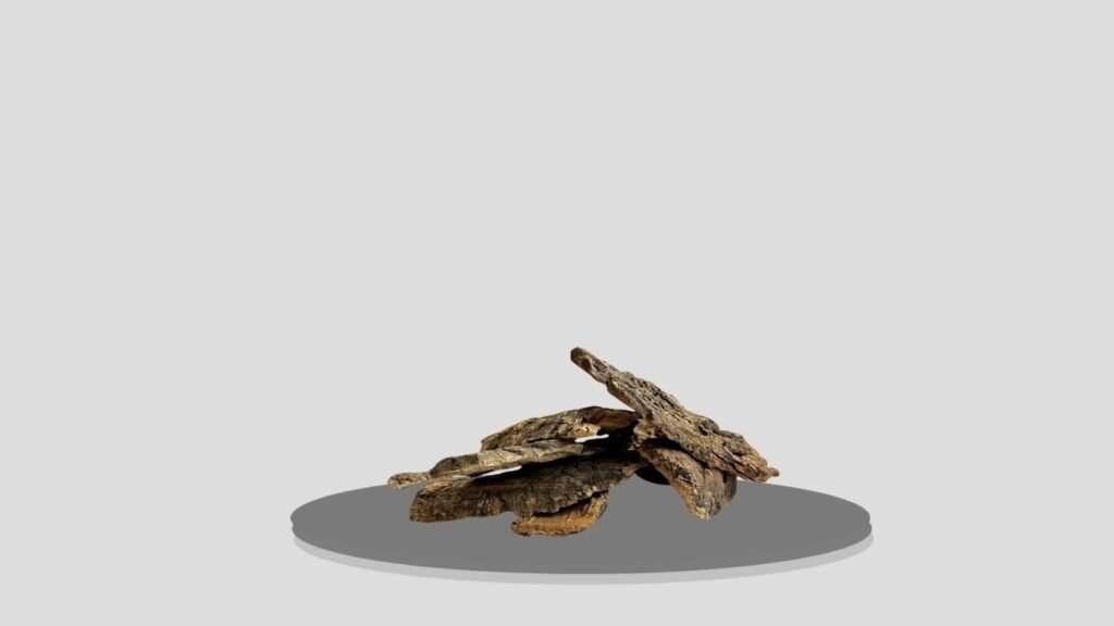 VCEPJH Natural Cork Bark for Reptiles & Spiders