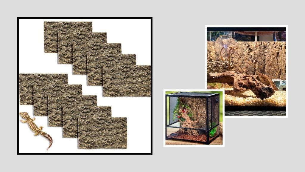 Fhiny Cork Bark Background – Best for Terrarium Walls