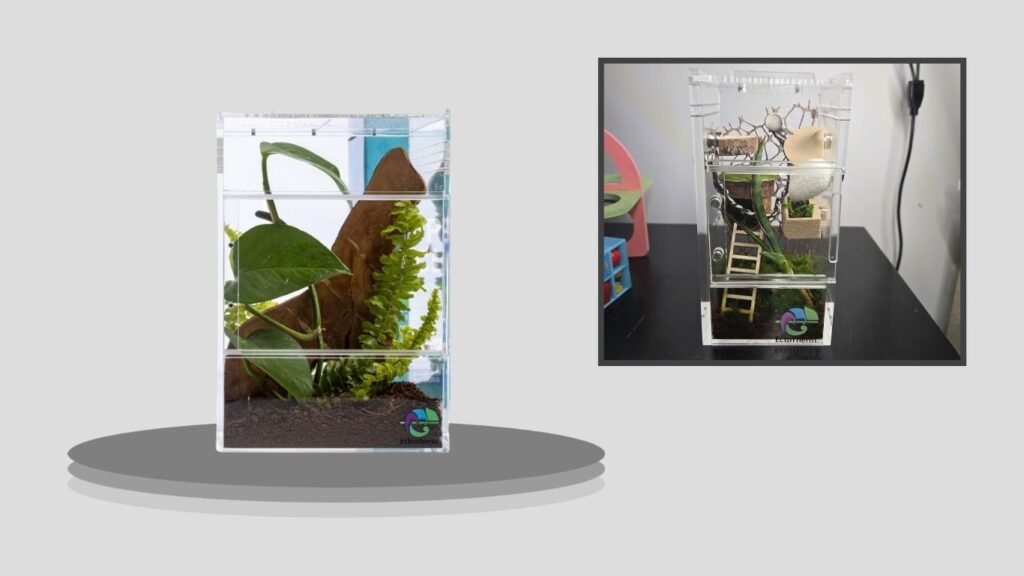 Arboreal Tarantula Enclosure with Accessories