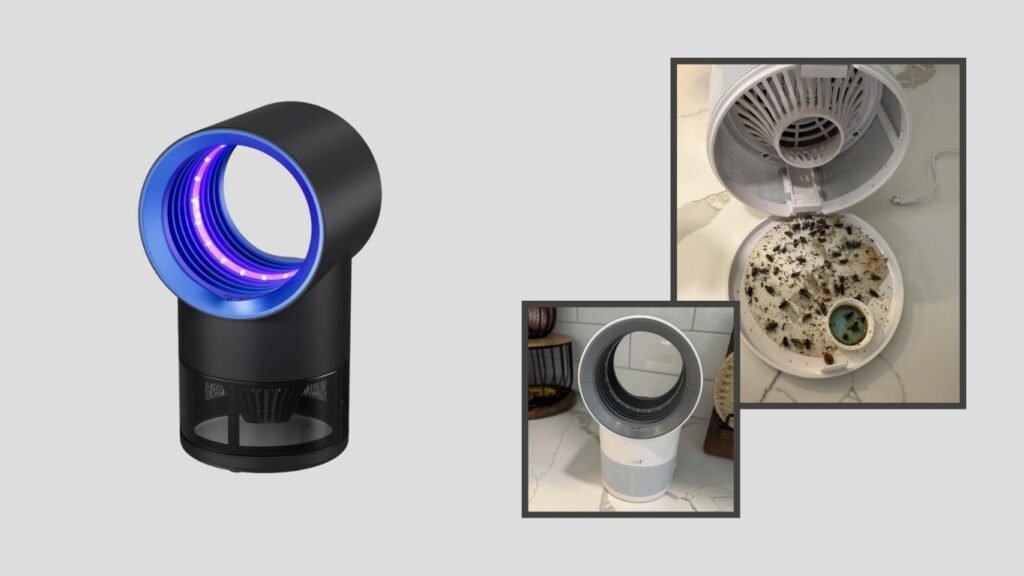 CHEER UPs Indoor Fly Trap with Timer