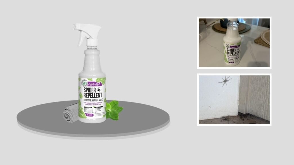 Mighty Mint Peppermint Spider Repellent Spray
