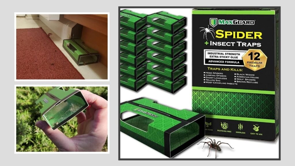 MaxGuard Non-Toxic Spider & Insect Traps