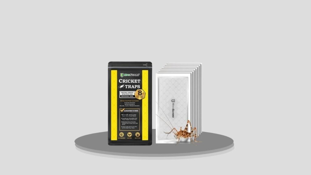 MaxGuard Non-Toxic Pre-Baited Spider & Cricket Glue Traps