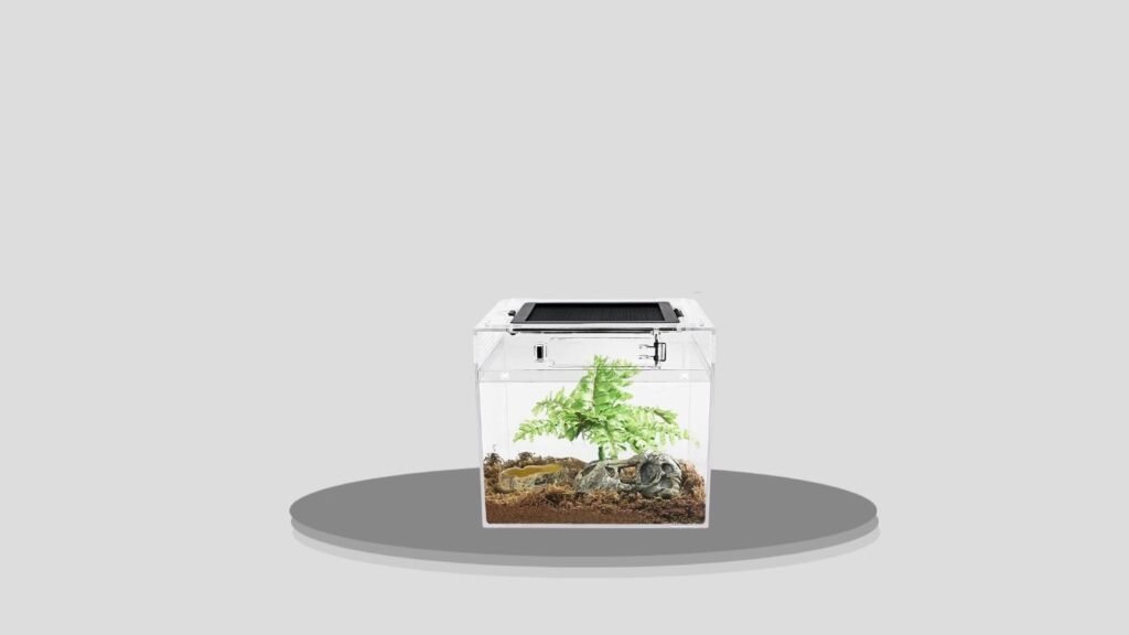Reptile Growth Mini PC Terrarium Starter Kit