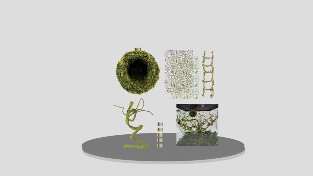 Jumping Spider Enclosure Accessories Magnetic Hideout