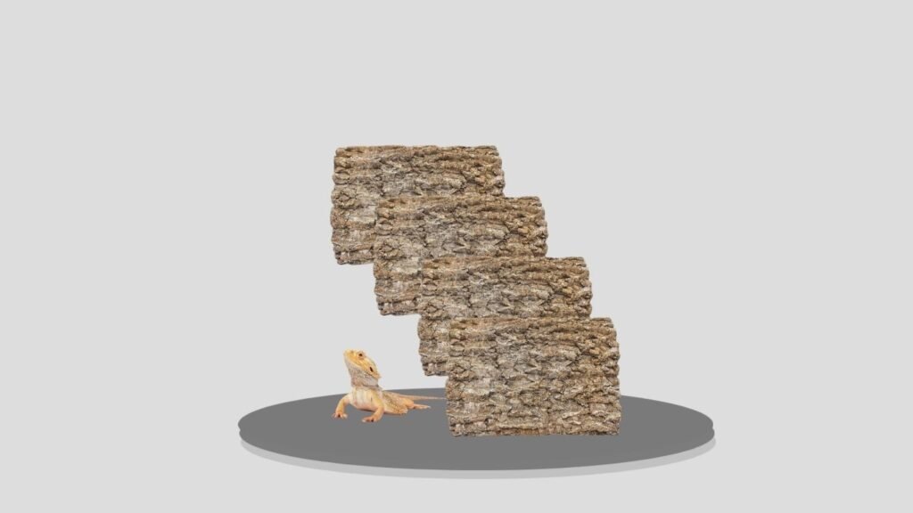 Cork Bark Terrarium Background Climbing Decoration